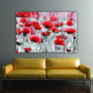 Quadro papavero rosso