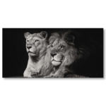 Tableau lion et lionne noir et blanc Tableau Animaux Tableau Lion