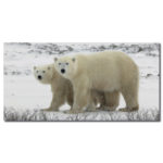 Tableau Couple d’ours polaires Tableau Animaux Tableau Ours