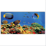 Tableau Aquarium Tableau Animaux Tableau Mer Tableau Nature