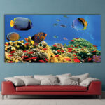 Tableau Aquarium Tableau Animaux Tableau Mer Tableau Nature