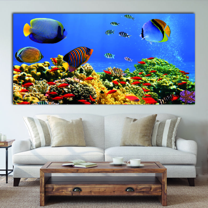 Tableau Aquarium Uncategorized
