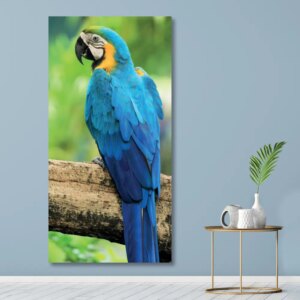 Tableau Ara bleu de dos Tableau Animaux Tableau Oiseau
