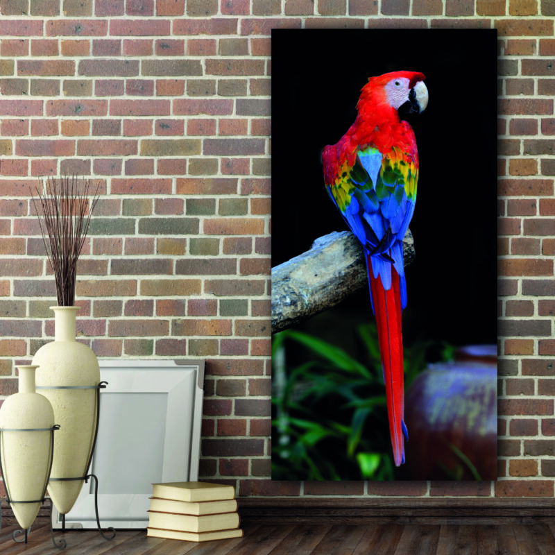 Tableau Ara rouge Tableau Animaux Tableau Oiseau