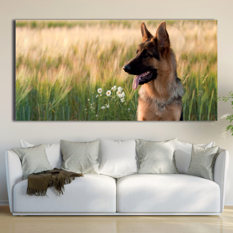 Tableau Berger Allemand au champ Tableau Chien Tableau Animaux taille: XXS