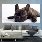 Tableau Bouledog allongé sur le sol Tableau Animaux Tableau Chien