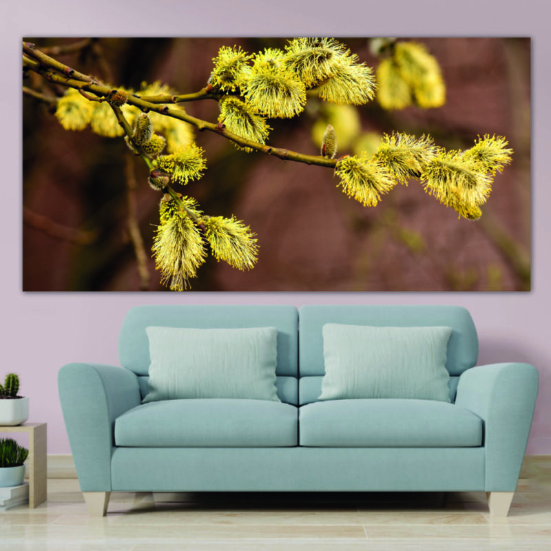 Tableau Branches jaunâtres dans la nature Tableau Fleur Tableau Nature