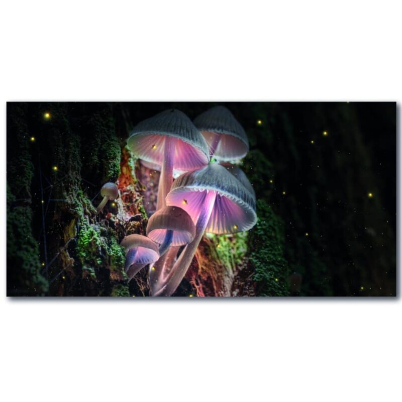 Tableau Champignon magique Tableau Abstrait Tableau Nature taille: XXS