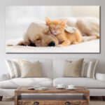 Tableau Chat et chien dormant ensemble Tableau Animaux Tableau Chat Tableau Chien