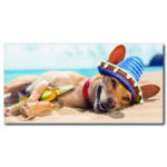 Tableau Chien mexicain