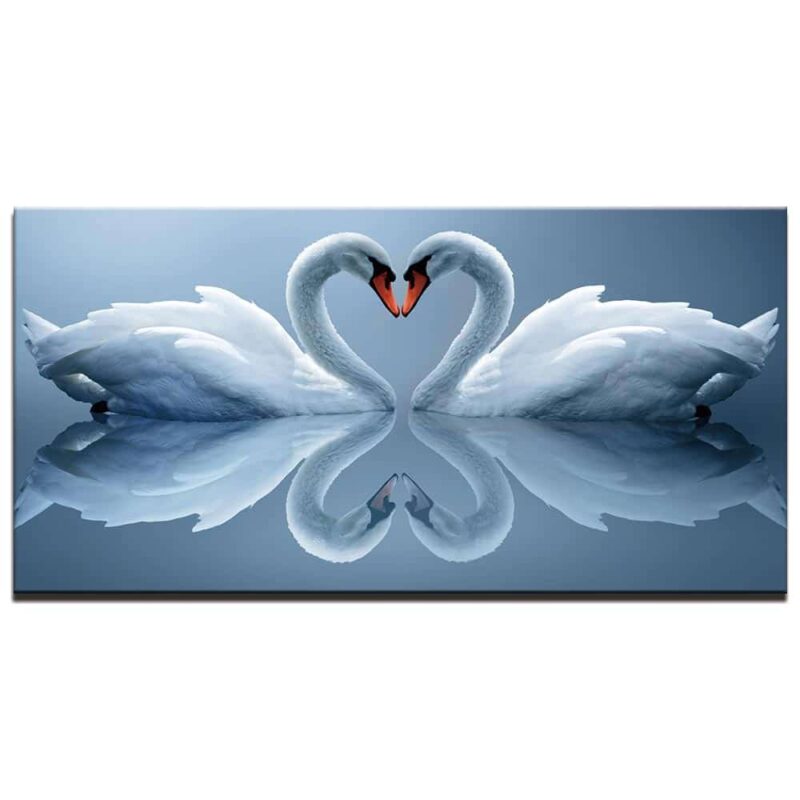 Tableau Cygnes