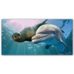 Tableau Dauphin et lion de mer Tableau Mer Tableau Nature