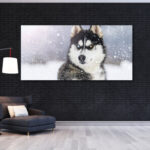 Tableau Loup hétérochromatique Tableau Loup Tableau Animaux