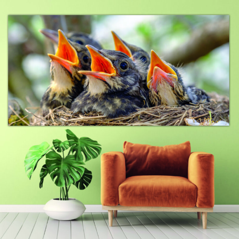 Tableau Oiseaux chanteurs Tableau Animaux Tableau Oiseau