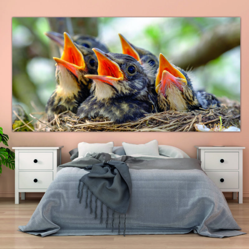 Tableau Oiseaux chanteurs Tableau Animaux Tableau Oiseau