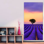 Tableau Paysage en champ de lavande Tableau Nature Tableau Paysage