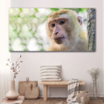 Tableau Singe curieux Tableau Animaux Tableau Singe