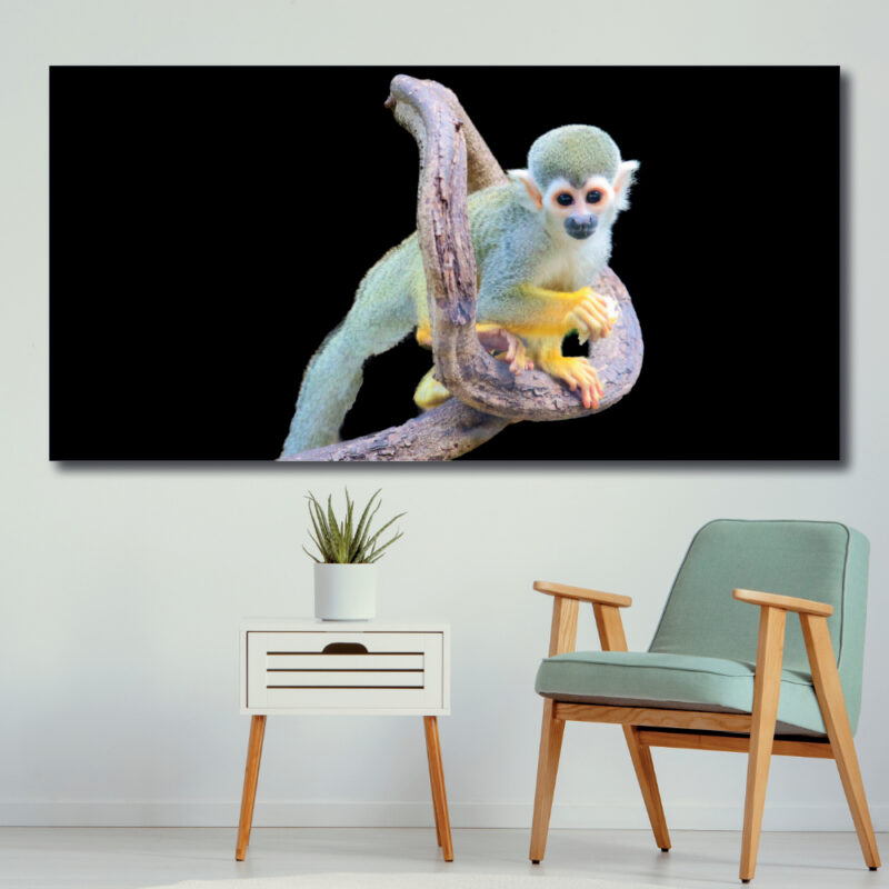 Tableau Singe écureuil Tableau Animaux Tableau Singe