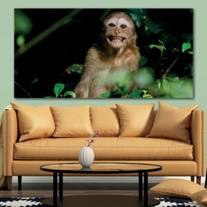 Tableau Singe souriant dans la nature Tableau Animaux Tableau Singe