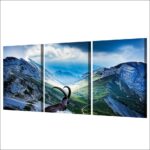 Tableau chamois en montagne