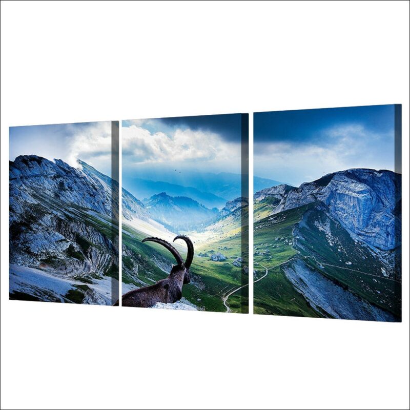 Tableau chamois en montagne
