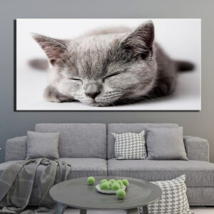 Tableau chaton qui dort Tableau Chat Tableau Animaux taille: XXS