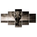 Tableau éléphant noir et blanc Tableau Éléphant Tableau Animaux