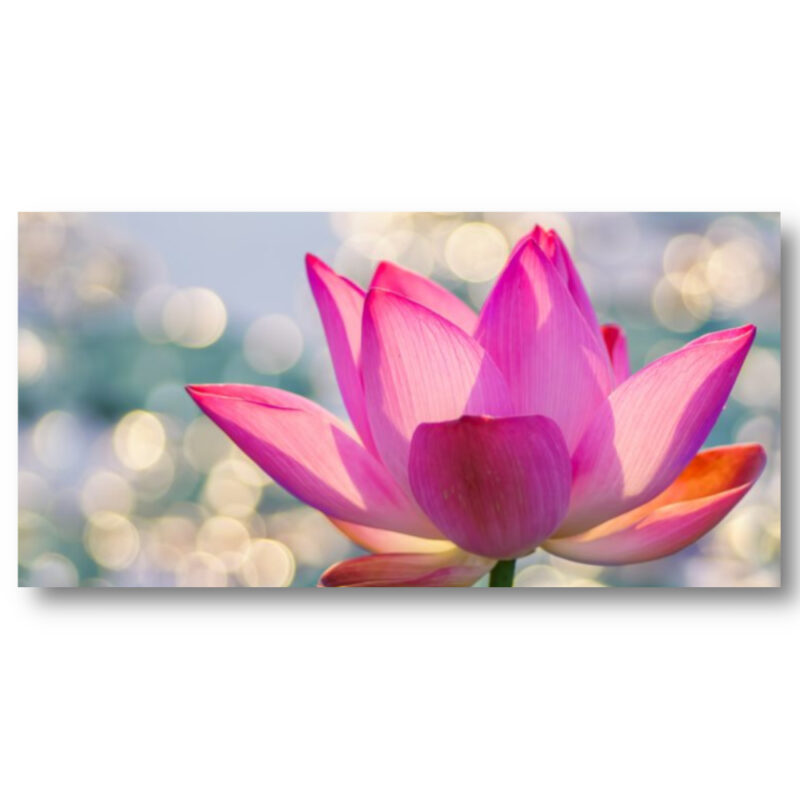 Tableau fleur rose Tableau Nature Tableau Fleur