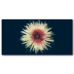 Tableau fleur solitaire Tableau Fleur Tableau Nature