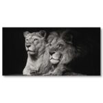 Tableau lion et lionne noir et blanc