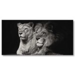 Tableau lion et lionne noir et blanc Tableau Animaux Tableau Lion