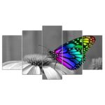 Tableau papillon multicolor sur fond noir et blanc