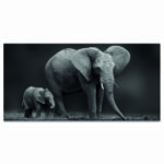Tableau éléphant et son fils en noir et blanc