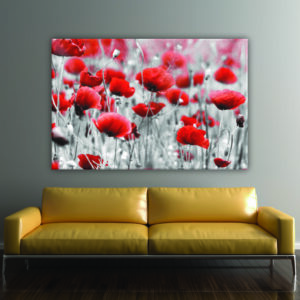 Tableau coquelicot rouge. Bonne qualité, original, accrochée sur un mur au-dessus d'un canapé dans une maison