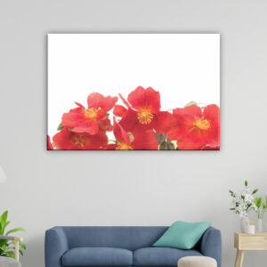 Tableau fleurs zinnia. Bonne qualité, original, accrochée sur un mur au dessus d'un canapé dans un salon